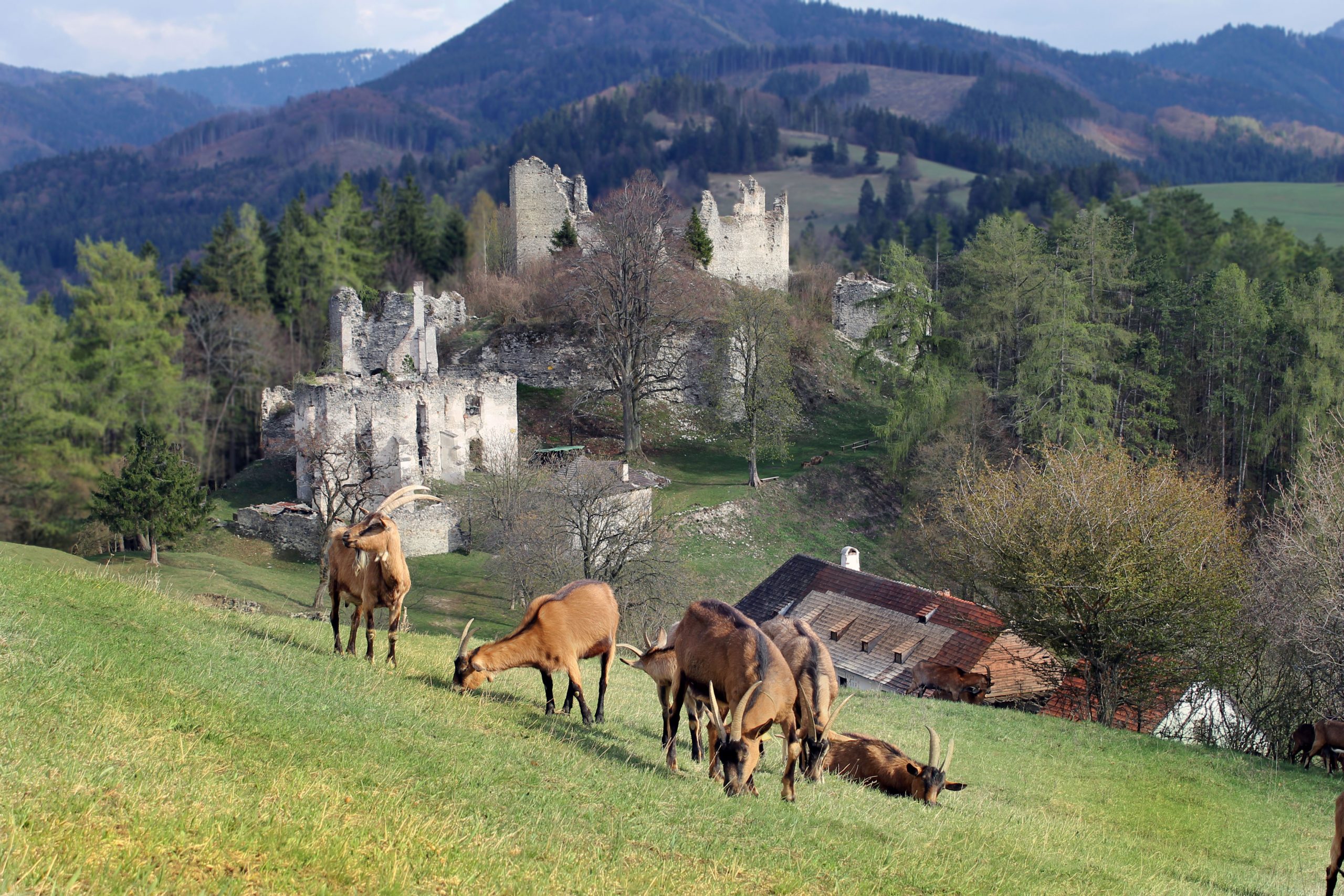 Hrad Sklabiňa