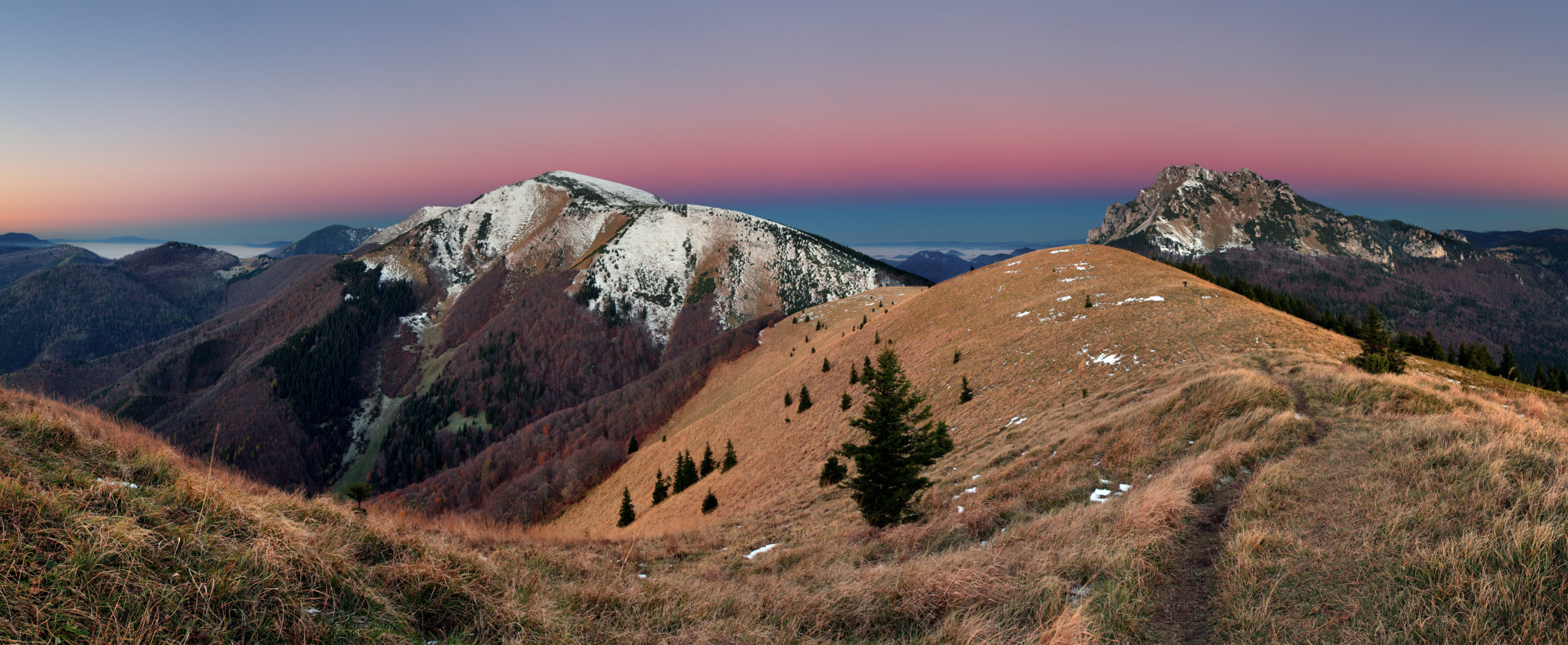 Osnica