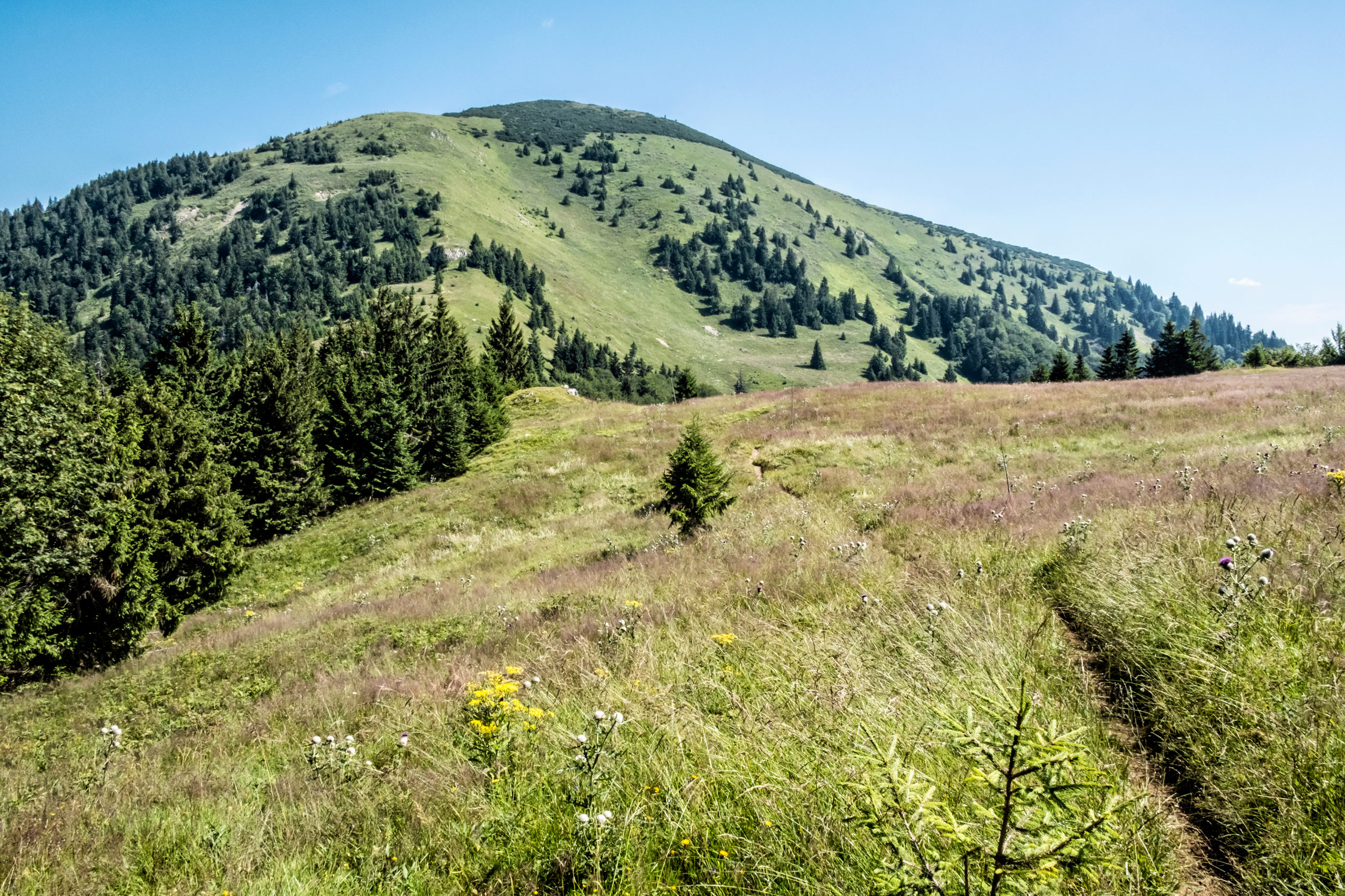 Rakytov